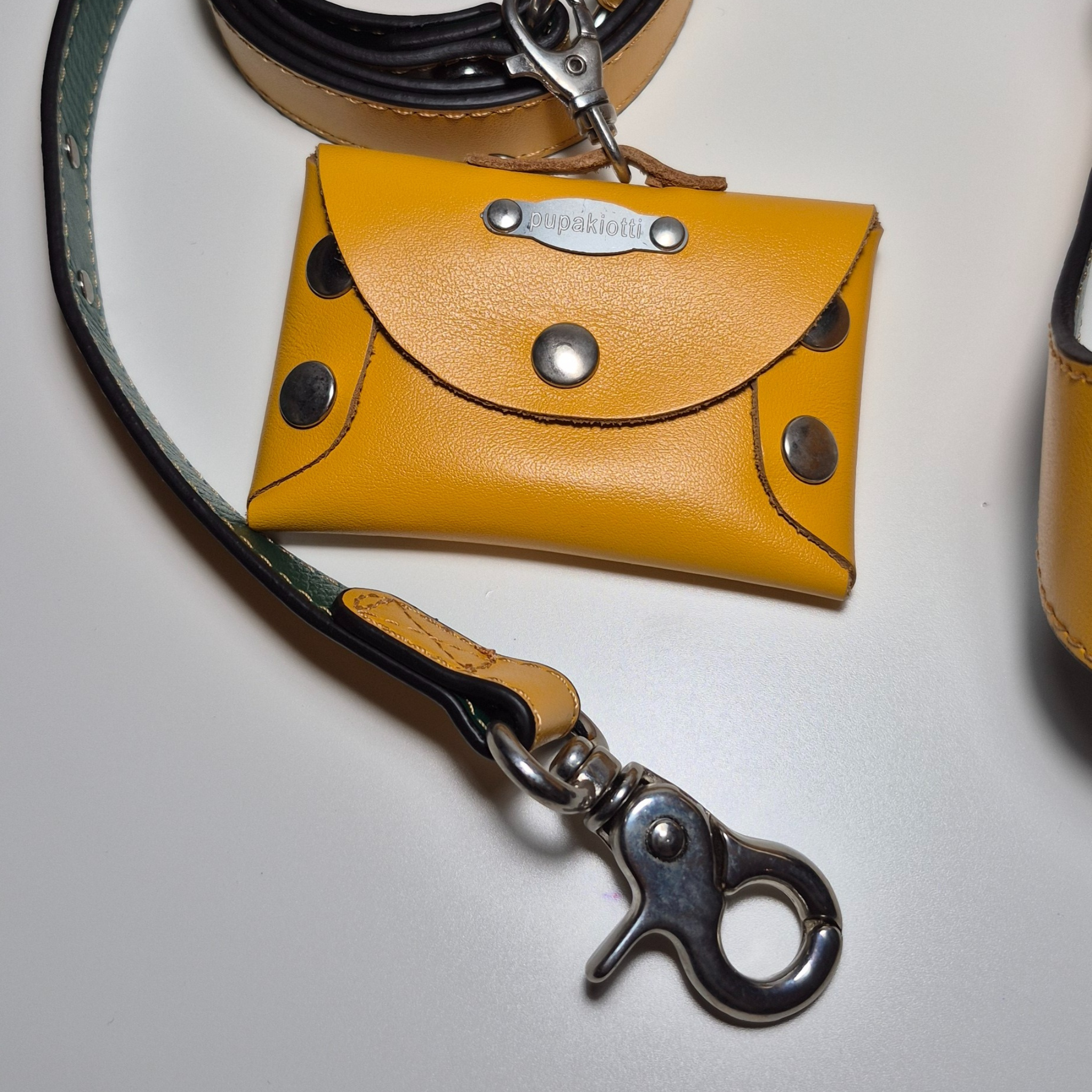 Set Pettorina e Guinzaglio in Pelle con Porta Sacchetti